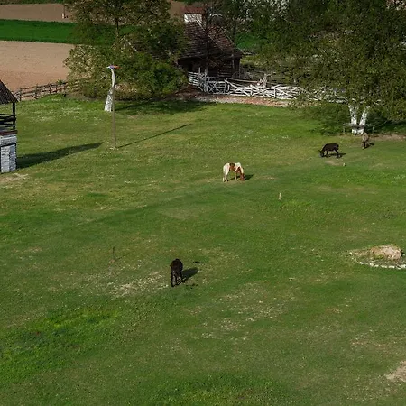 Bed & Breakfast Etno Village Suncana Reka Banja Koviljaca