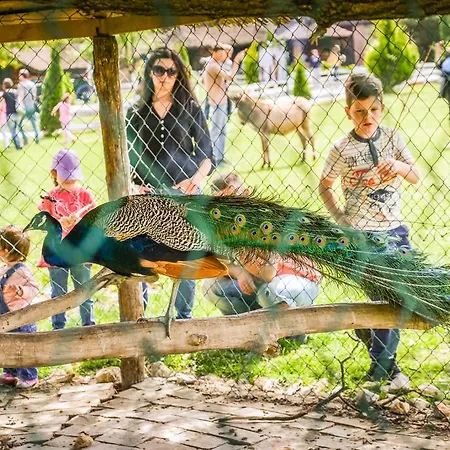 B&B Etno Village Suncana Reka