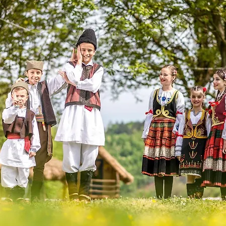 Etno Village Suncana Reka B&B Banja Koviljača