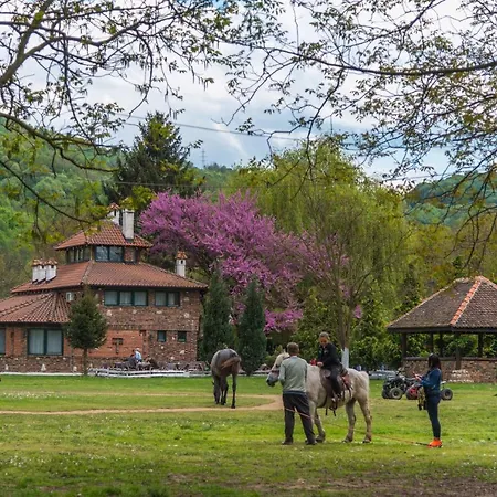 Bed & Breakfast Etno Village Suncana Reka Banja Koviljaca