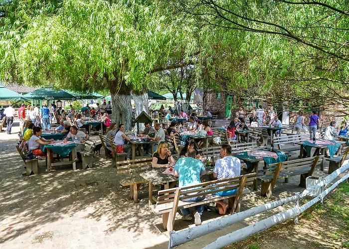 Etno Village Suncana Reka B&B Banja Koviljača