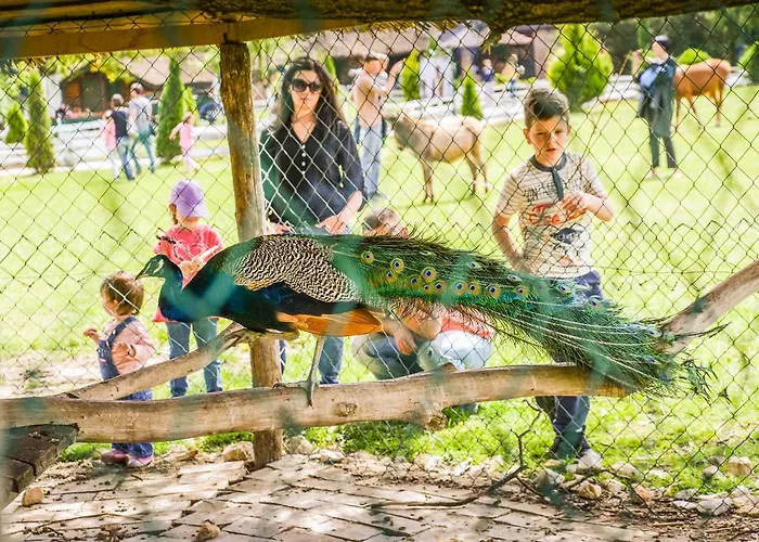 B&B Etno Village Suncana Reka