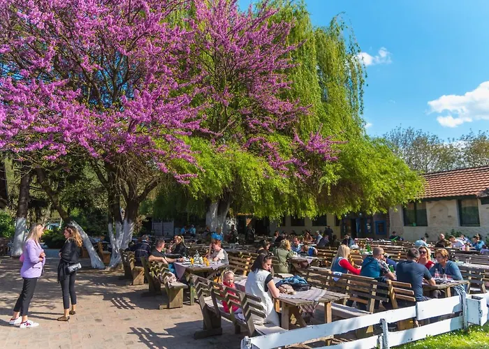 Etno Village Suncana Reka 4* Banja Koviljača