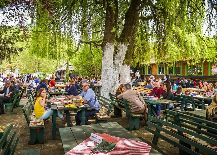 Etno Village Suncana Reka Banja Koviljača